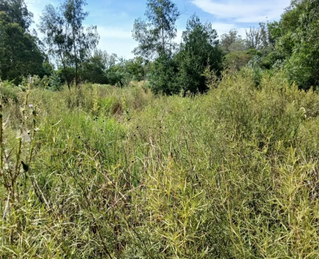 Terreno ID.7312 - Terreno en venta Edén Rock