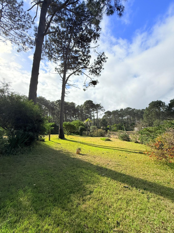 Terreno ID.6603 - Terreno en venta - Chihuahua