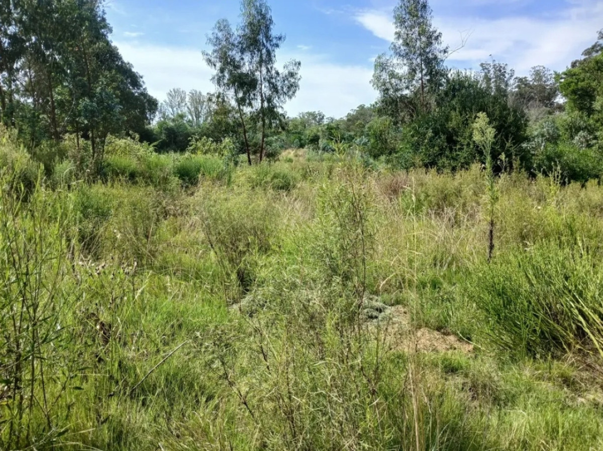Terreno ID.7312 - Terreno en venta Edén Rock