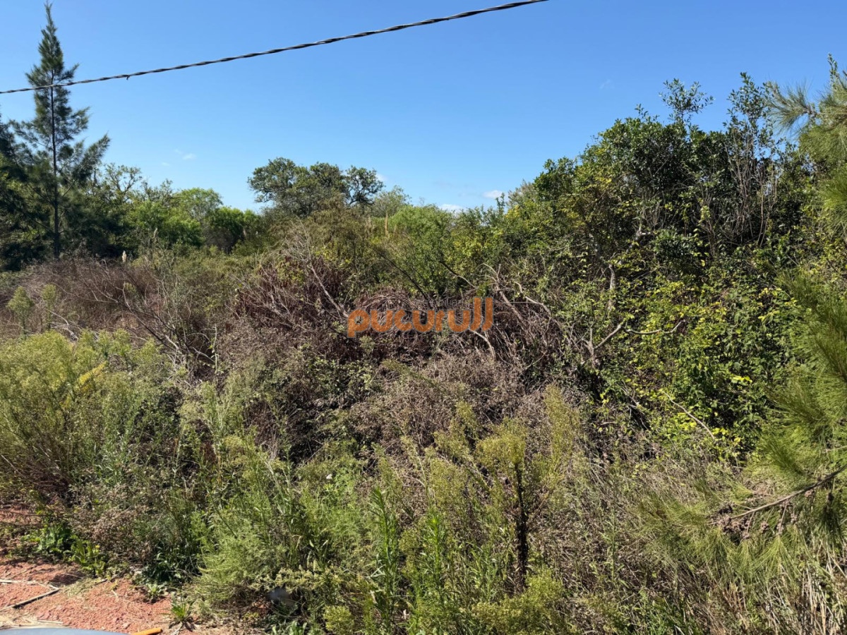 Terreno ID.2798 - Terreno en Laguna del Diario