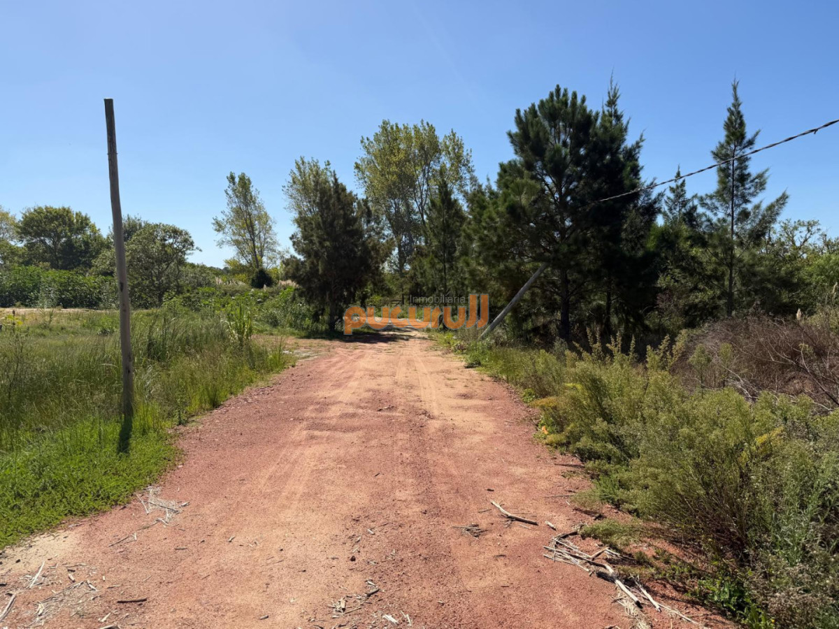 Terreno ID.2798 - Terreno en Laguna del Diario