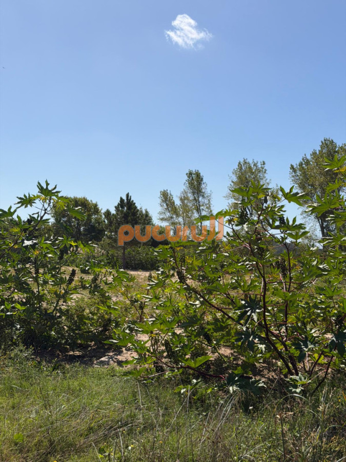 Terreno ID.2798 - Terreno en Laguna del Diario