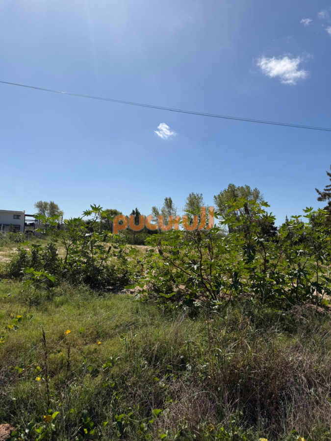 Terreno ID.2798 - Terreno en Laguna del Diario