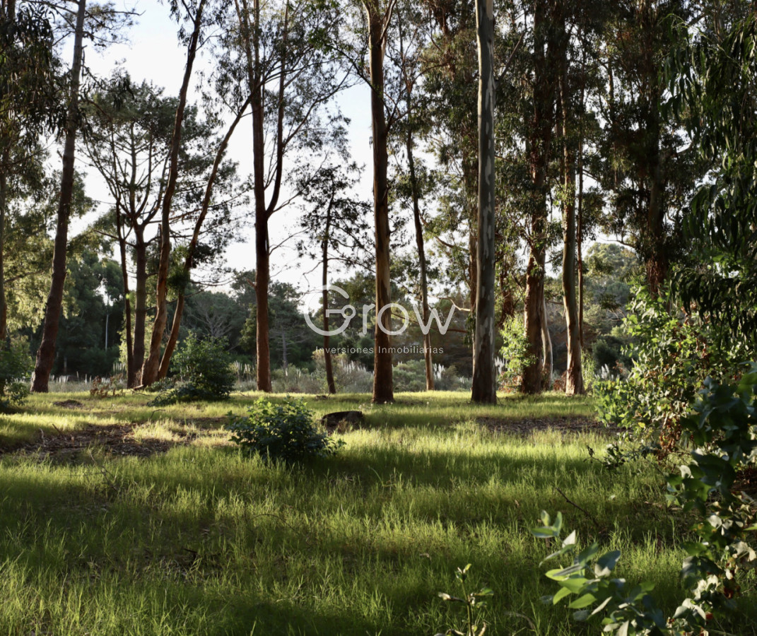 Terreno ID.4076 - TERERENO 1000 MTS RESERVA MONTOYA - CON POSIBILIDAD DE 1000 MTS MAS