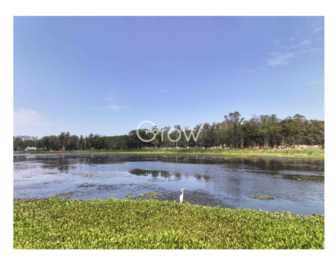 Terreno ID.4077 - RESERVA MONTAYA - TERRENO 1000 MTS - OPCION A 2000 MTS.