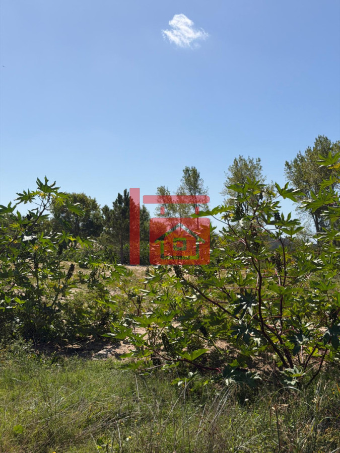 Terreno ID.690 - Terreno en Laguna del Diario
