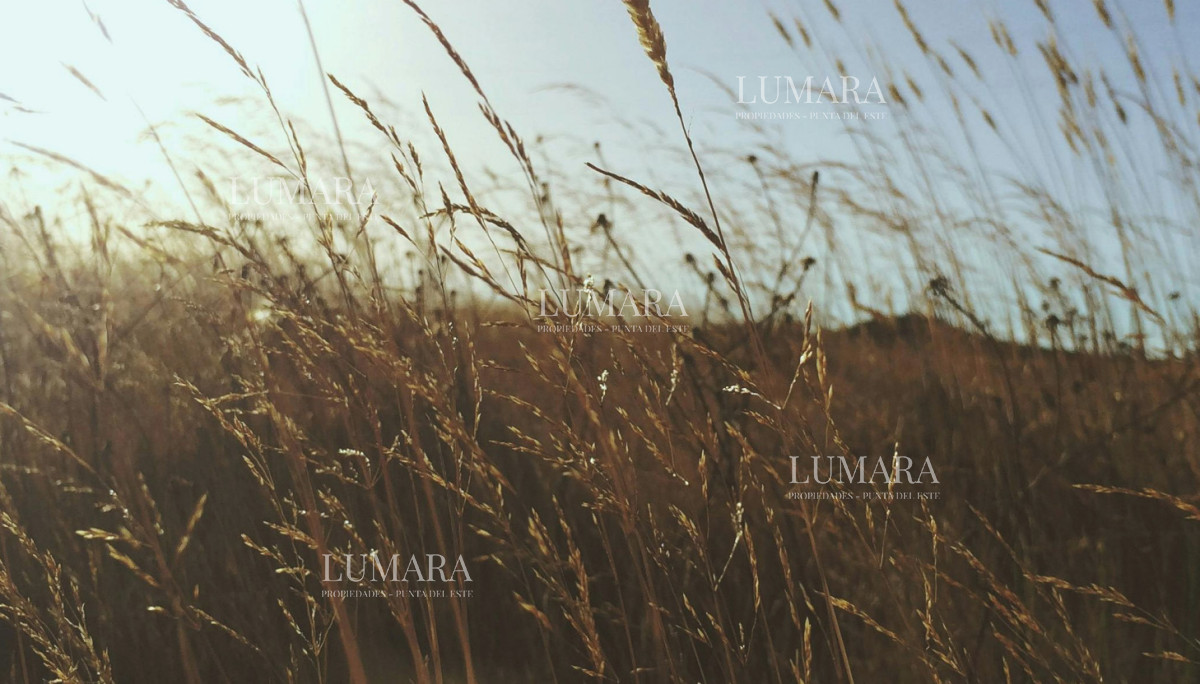 Apartamento ID.2917 - THE COLETTE GARDEN