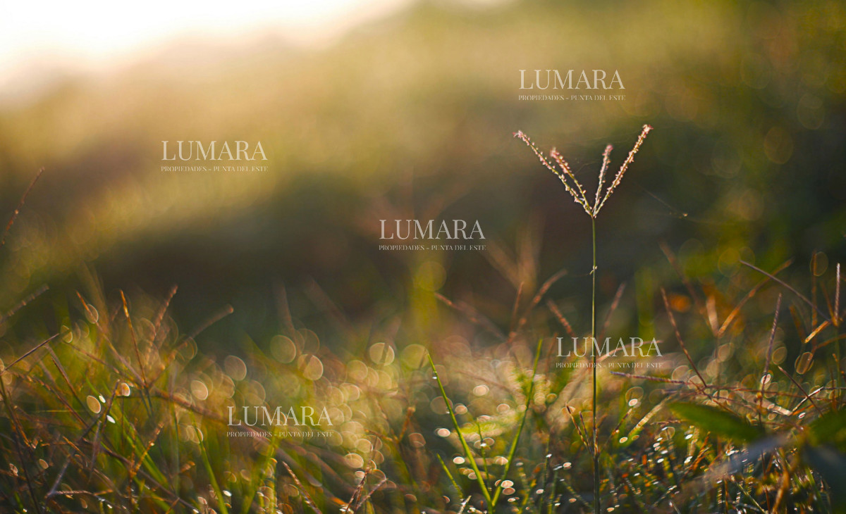 Apartamento ID.2917 - THE COLETTE GARDEN