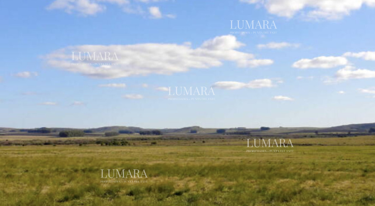 Campo Ref.3462 - CAMPO AGRICOLA EN ROCHA