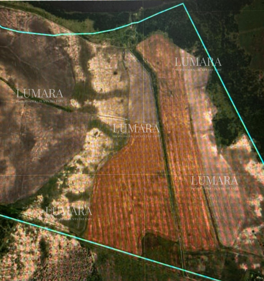 Campo Ref.3457 - CAMPO EN PAYSANDU