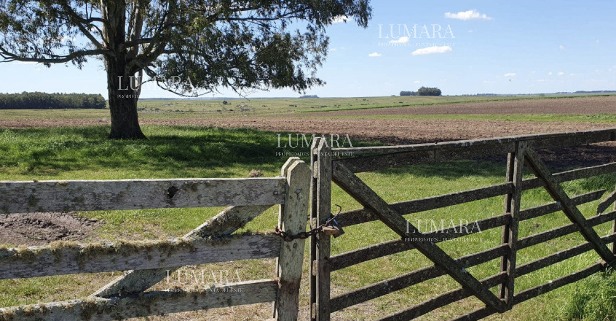Campo Ref.3463 - CAMPO AGRICOLA GANADERO