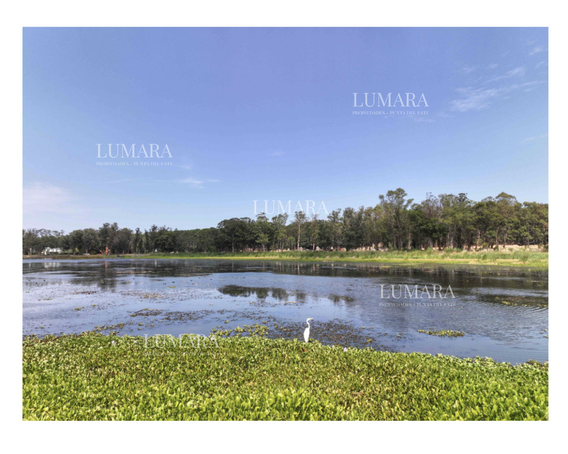 Terreno ID.3566 - RESERVA MONTOYA