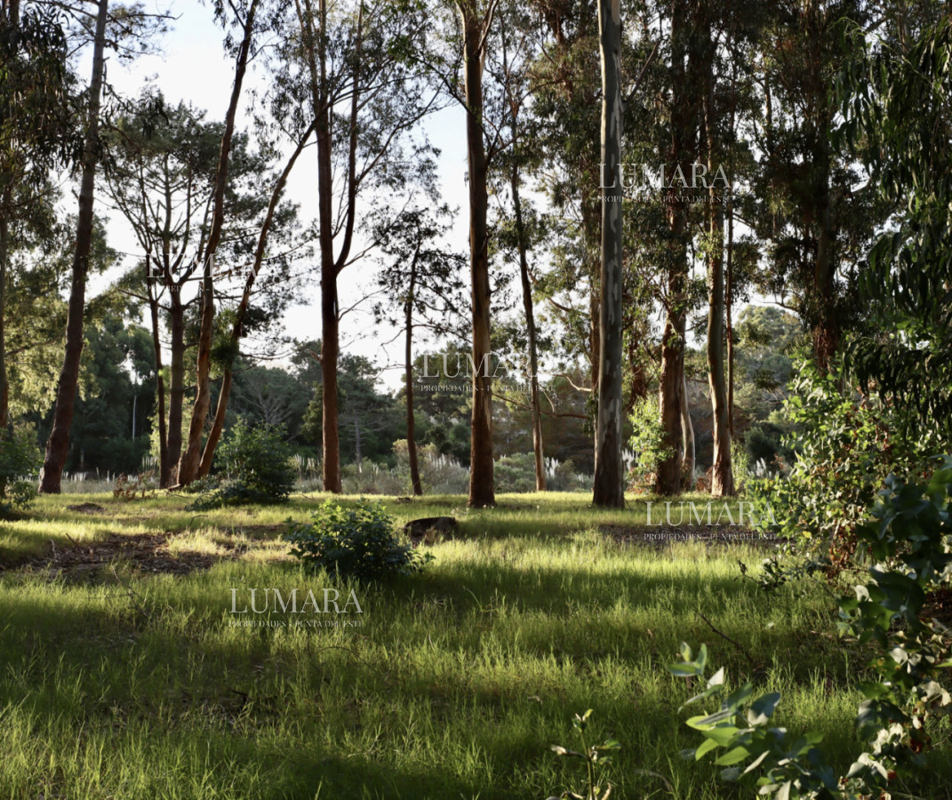 Terreno ID.3562 - TERERENO 1000 MTS RESERVA MONTOYA - CON POSIBILIDAD DE 1000 MTS MAS