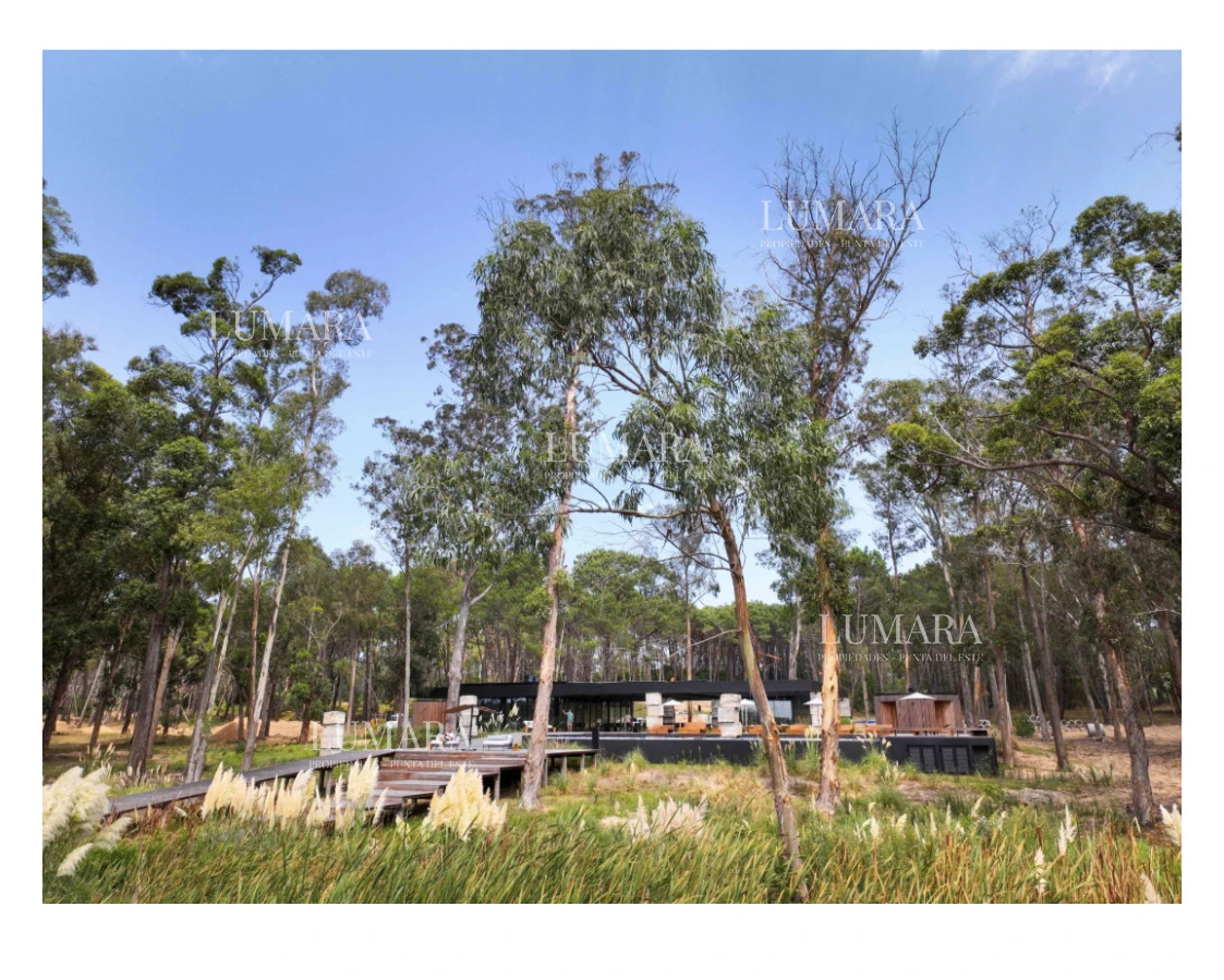 Terreno ID.3561 - RESERVA MONTAYA - TERRENO 1000 MTS - OPCION A 2000 MTS.