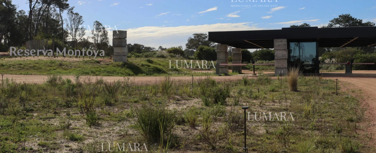 Terreno ID.3561 - RESERVA MONTAYA - TERRENO 1000 MTS - OPCION A 2000 MTS.