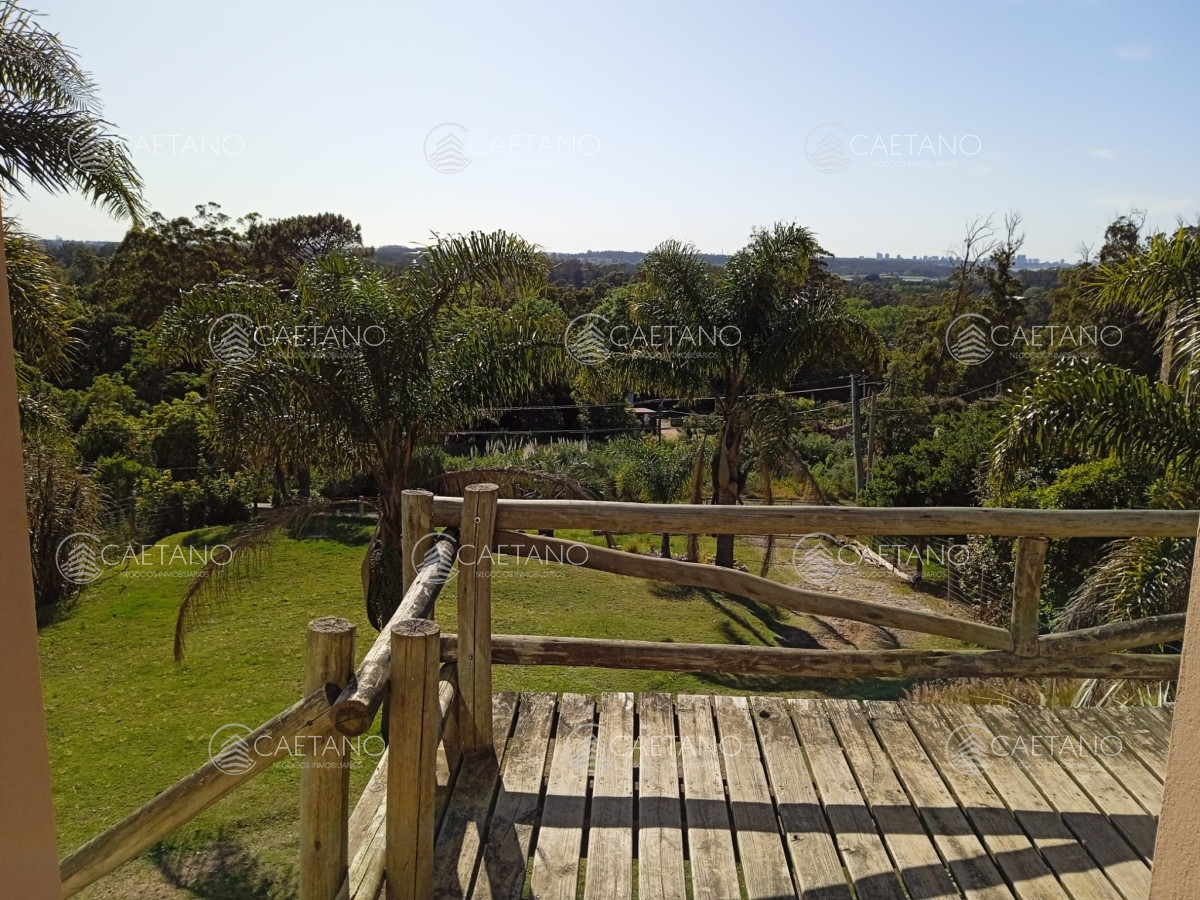 Punta Ballena - GoPunta - Portal Inmobiliario de Punta del Este - Maldonado
