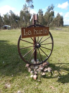 CHACRA EN VENTA  15ha, ruta 12 Lavalleja 