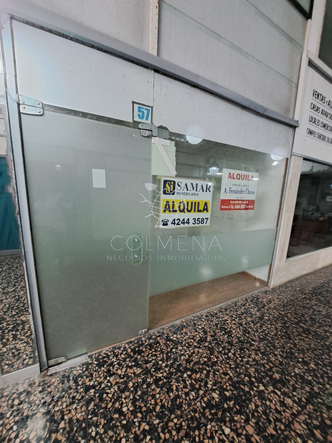 Propiedad - GoPunta - Portal Inmobiliario de Punta del Este - Maldonado