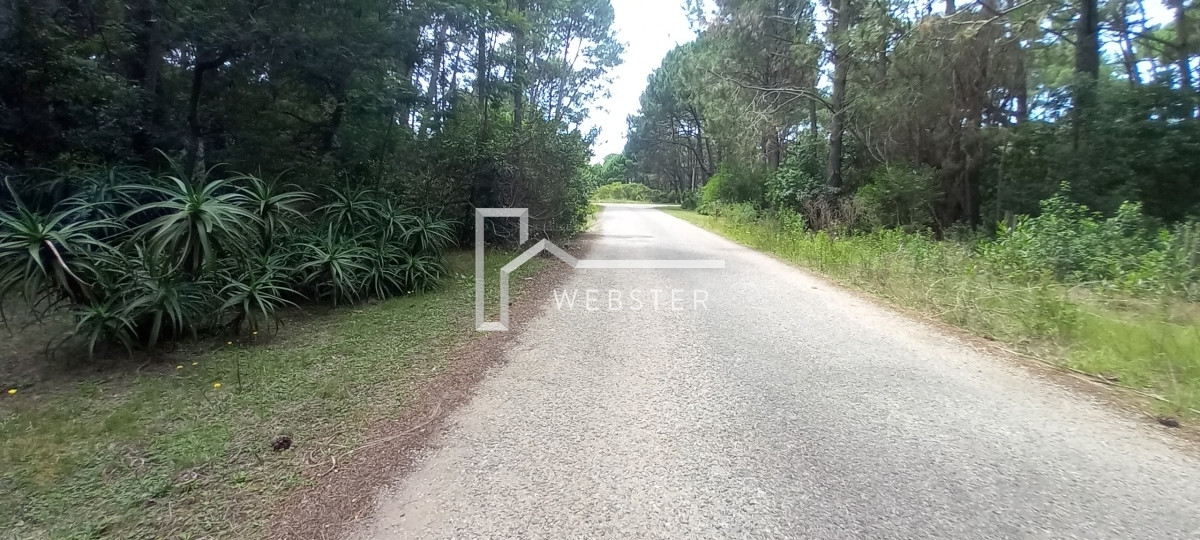 Casa ID.1582 - VENTA CASA PUNTA BALLENA MALDONADO 2 DORMITORIOS PUNTA DEL ESTE