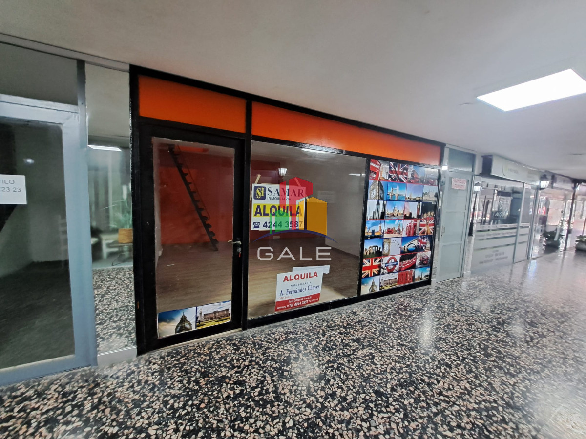 Península - GoPunta - Portal Inmobiliario de Punta del Este - Maldonado