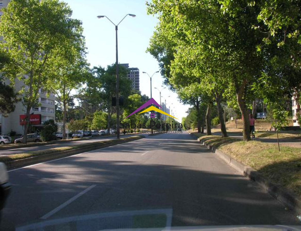 Roosevelt - GoPunta - Portal Inmobiliario de Punta del Este - Maldonado