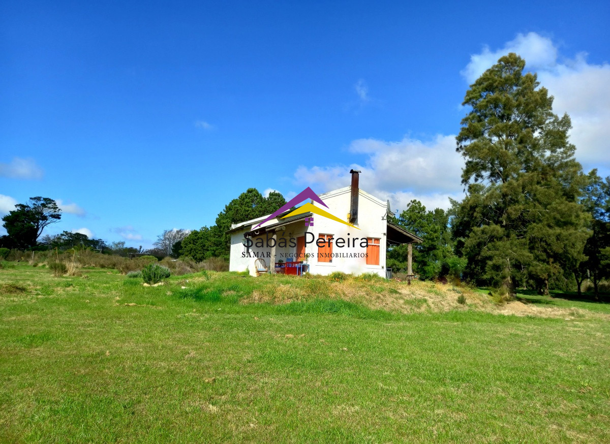 Zona Rural - GoPunta - Portal Inmobiliario de Punta del Este - Maldonado