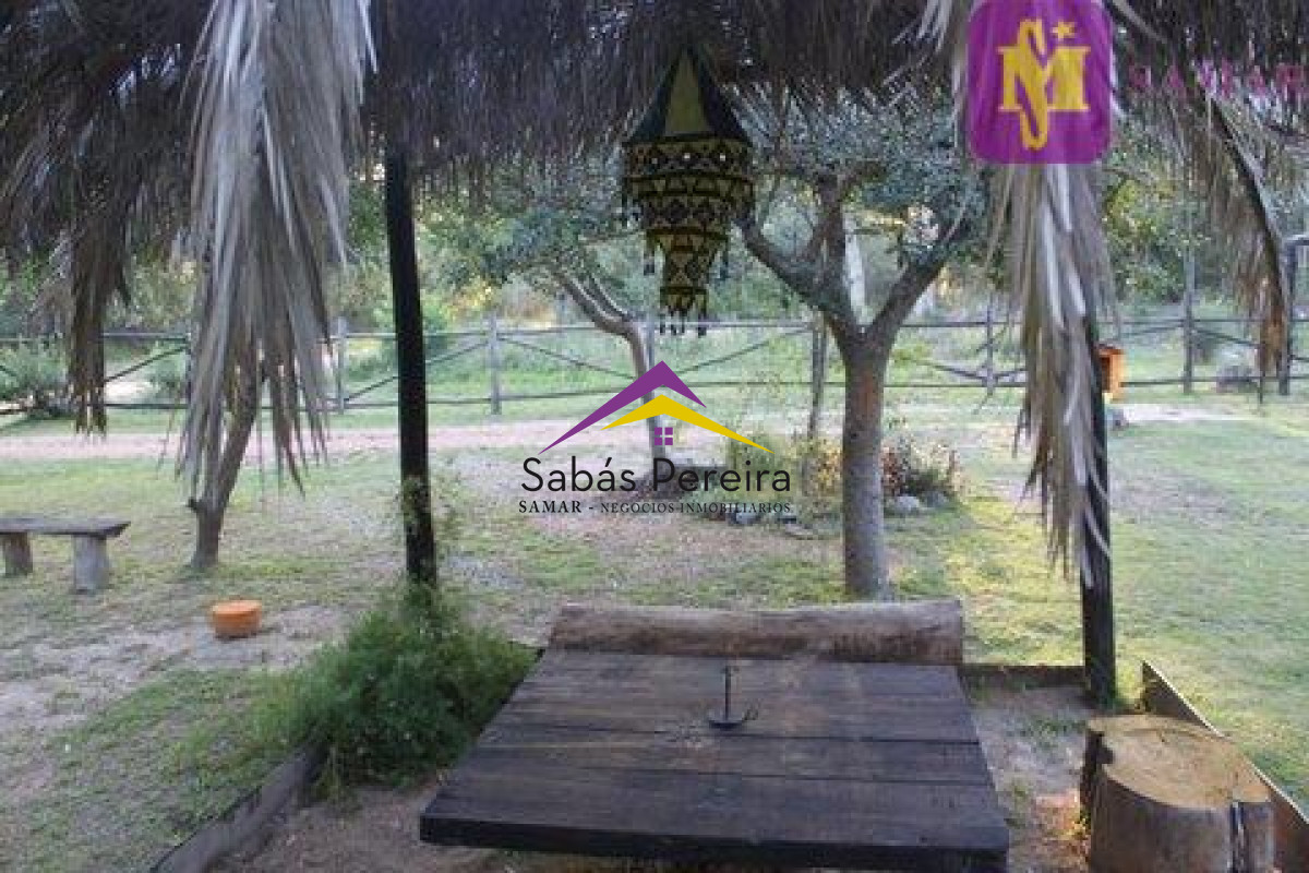 Punta Ballena - GoPunta - Portal Inmobiliario de Punta del Este - Maldonado
