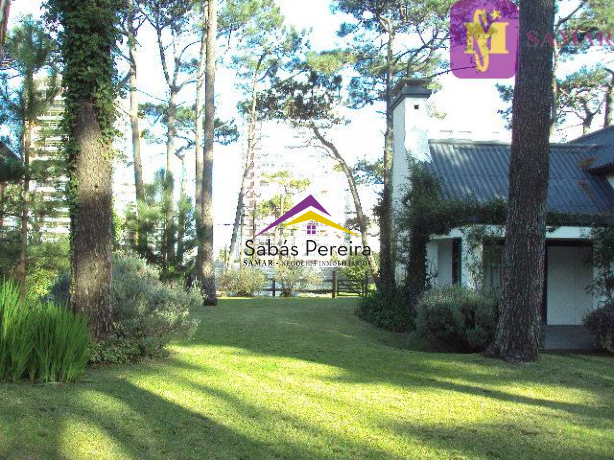 Aidy Grill - GoPunta - Portal Inmobiliario de Punta del Este - Maldonado