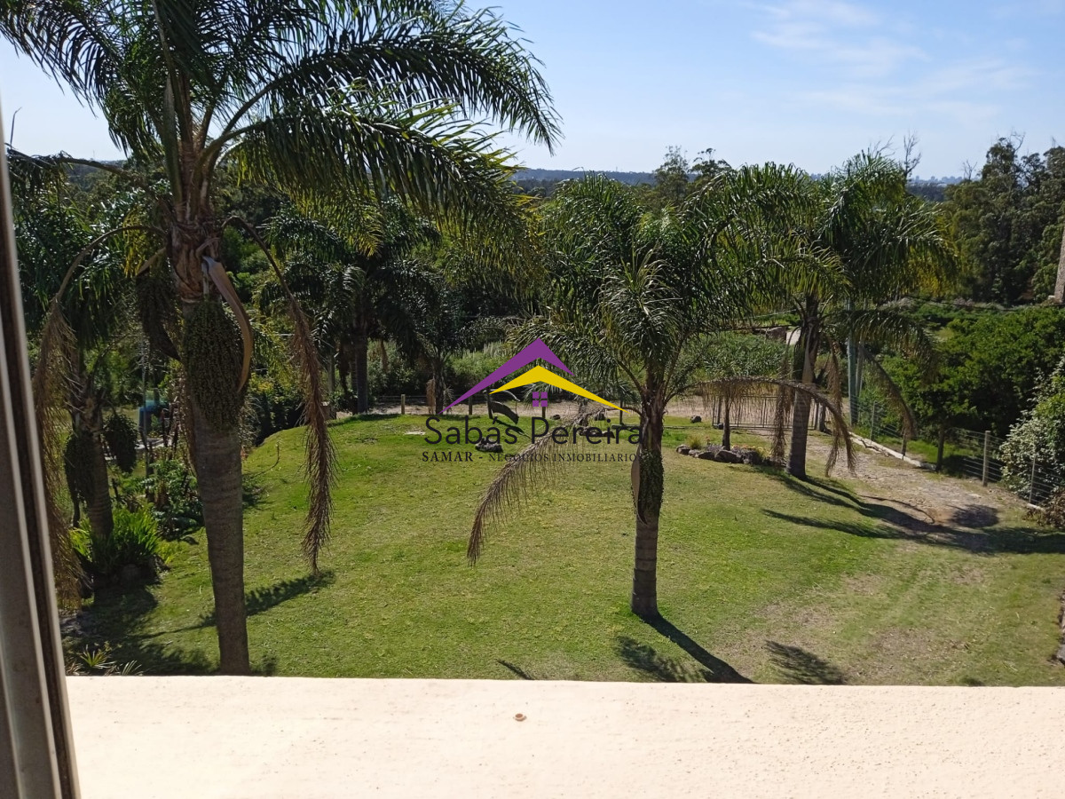 Punta Ballena - GoPunta - Portal Inmobiliario de Punta del Este - Maldonado