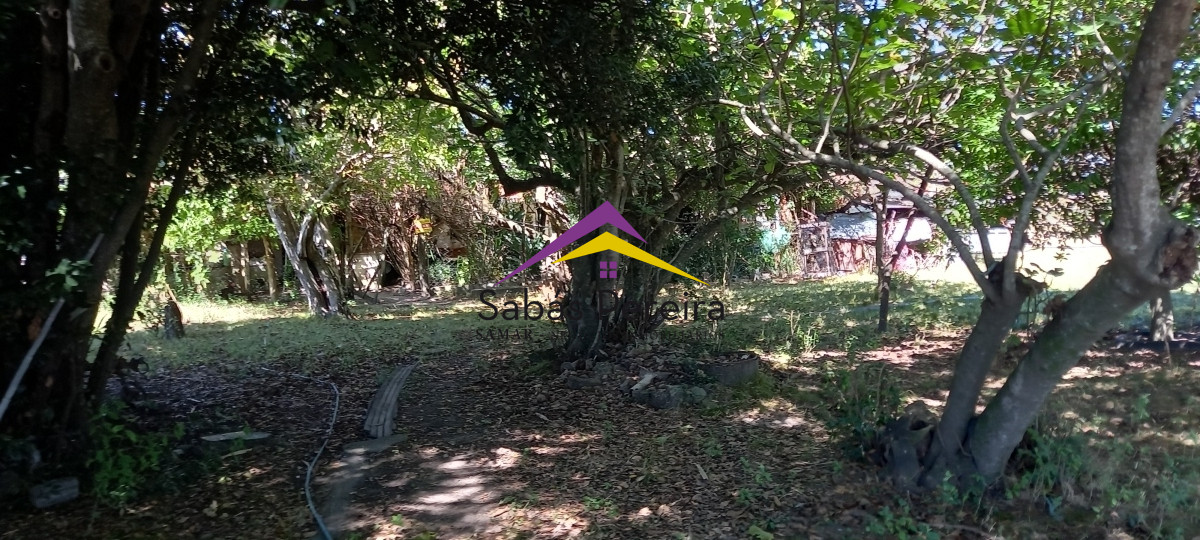Chacra ID.41230 - Venta Chacra 18ha con casa sobre ruta 9, Pan de Azúcar, Maldonado