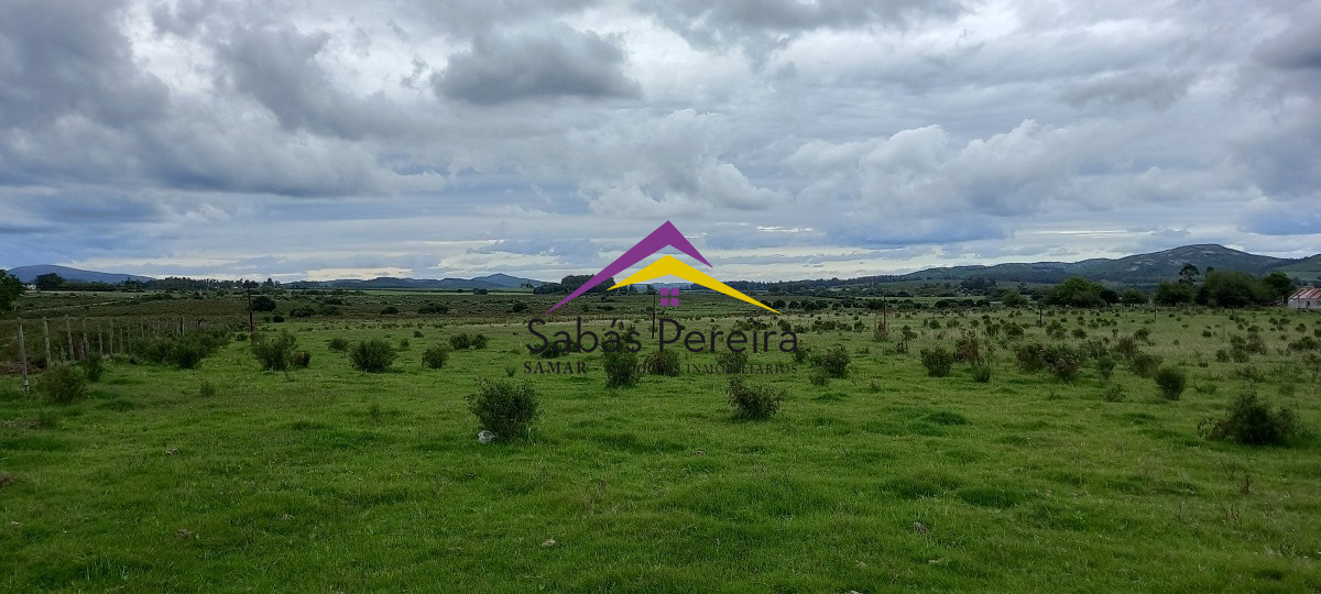 Chacra ID.41051 - Venta chacra de 10 hectáreas, Pan de Azúcar, Piriápolis, Maldonado