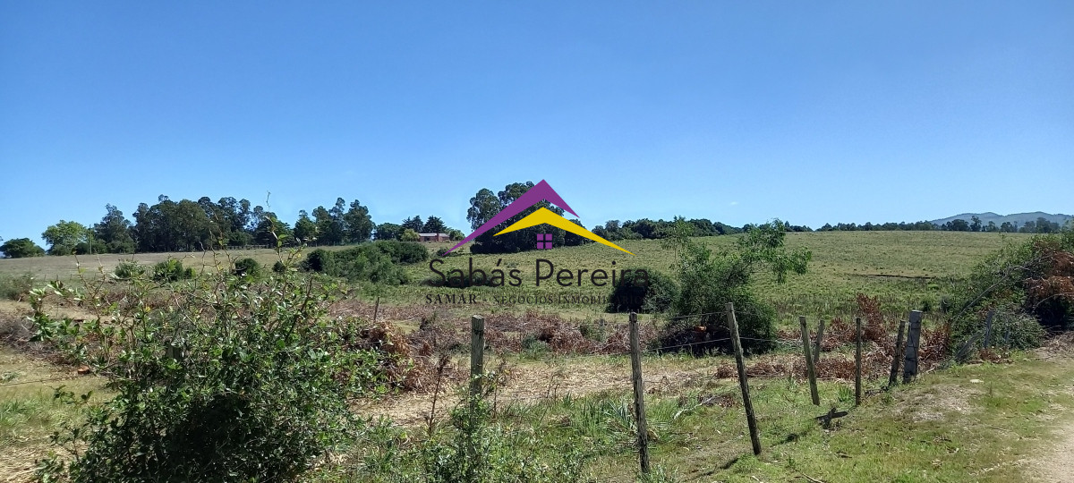 Chacra ID.41230 - Venta Chacra 18ha con casa sobre ruta 9, Pan de Azúcar, Maldonado