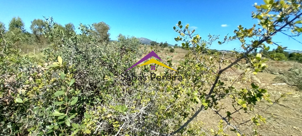 Chacra ID.41230 - Venta Chacra 18ha con casa sobre ruta 9, Pan de Azúcar, Maldonado