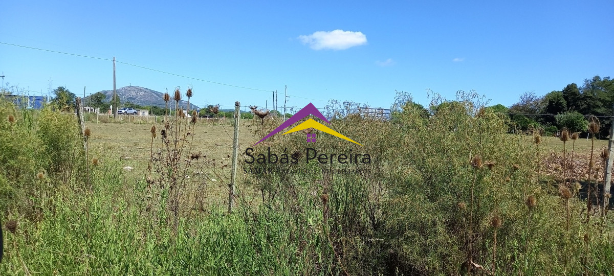 Chacra ID.41230 - Venta Chacra 18ha con casa sobre ruta 9, Pan de Azúcar, Maldonado