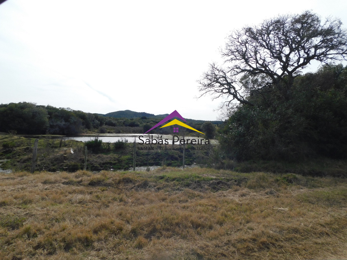 Chacra ID.41458 - Venta chacra 40há, Pan de Azucar, Maldonado