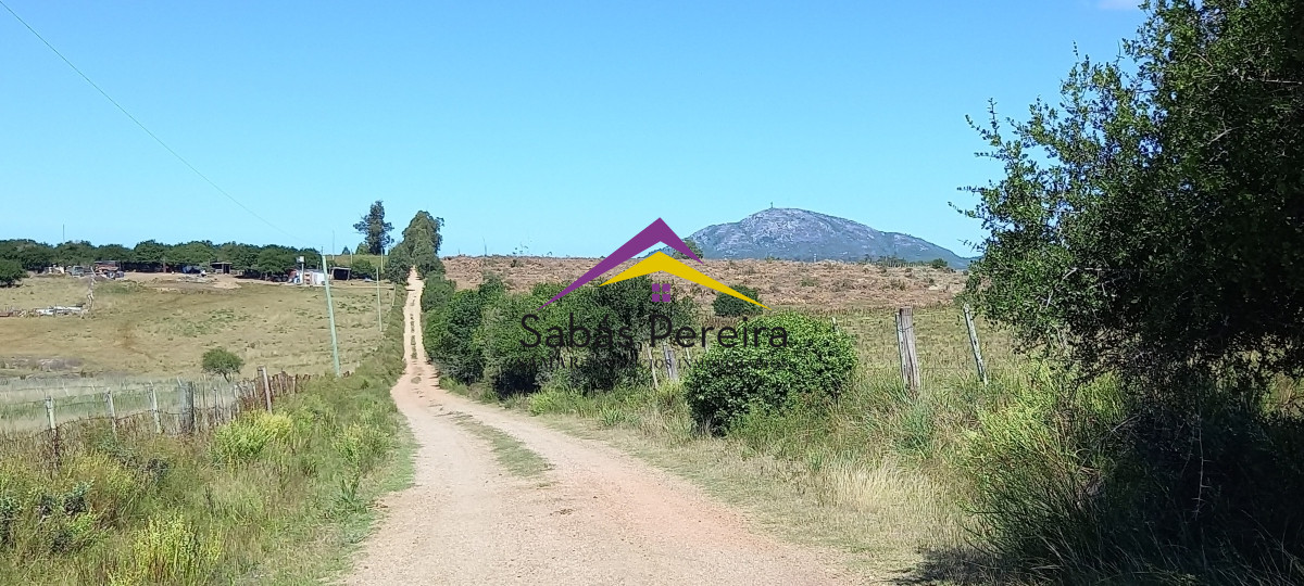 Pan de Azucar - GoPunta - Portal Inmobiliario de Punta del Este - Maldonado