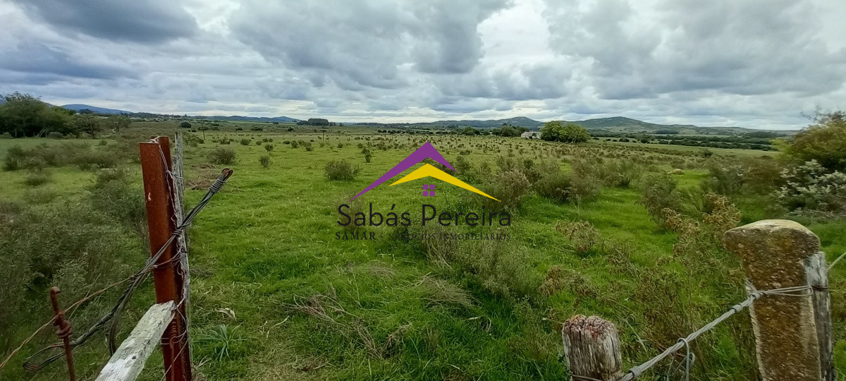 Zona Rural - GoPunta - Portal Inmobiliario de Punta del Este - Maldonado