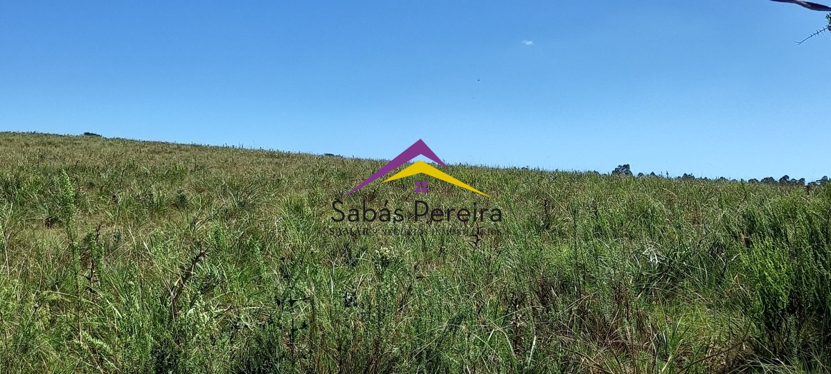 Chacra ID.41230 - Venta Chacra 18ha con casa sobre ruta 9, Pan de Azúcar, Maldonado