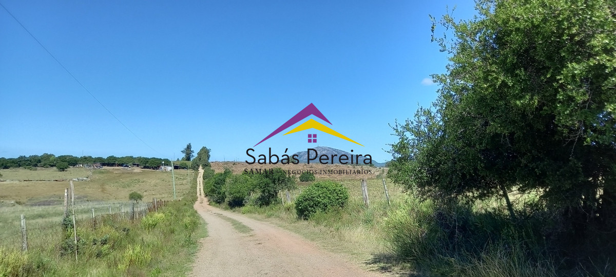 Chacra ID.41230 - Venta Chacra 18ha con casa sobre ruta 9, Pan de Azúcar, Maldonado