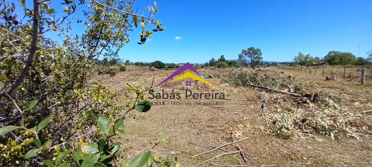 Chacra ID.41230 - Venta Chacra 18ha con casa sobre ruta 9, Pan de Azúcar, Maldonado