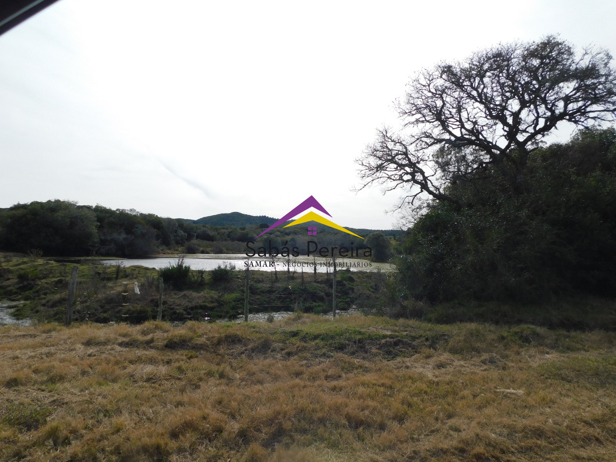 Chacra ID.41458 - Venta chacra 40há, Pan de Azucar, Maldonado