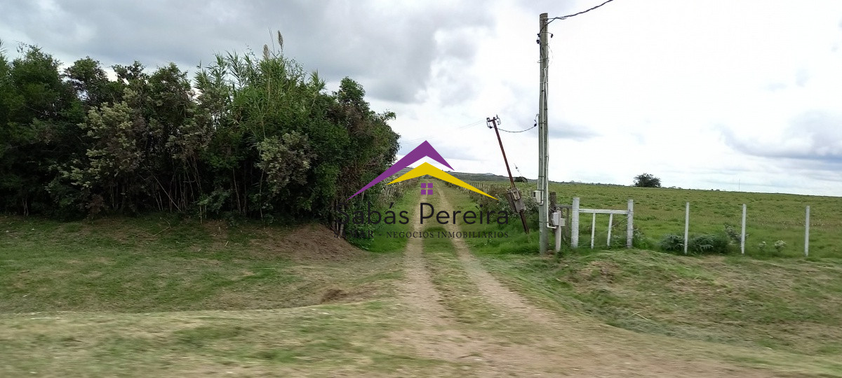 Zona Rural - GoPunta - Portal Inmobiliario de Punta del Este - Maldonado