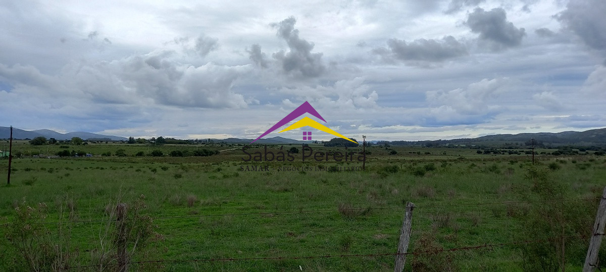 Chacra ID.41051 - Venta chacra de 10 hectáreas, Pan de Azúcar, Piriápolis, Maldonado