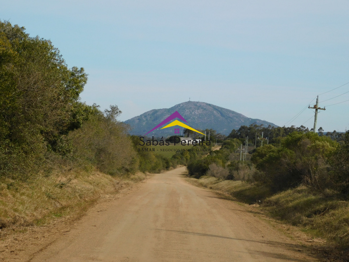 Chacra ID.41458 - Venta chacra 40há, Pan de Azucar, Maldonado