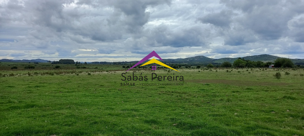 Chacra ID.41051 - Venta chacra de 10 hectáreas, Pan de Azúcar, Piriápolis, Maldonado