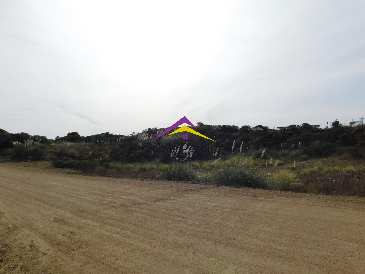 Chacra ID.41458 - Venta chacra 40há, Pan de Azucar, Maldonado