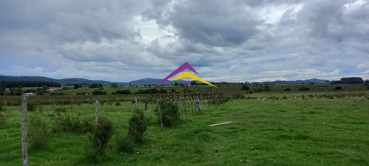 Chacra ID.41051 - Venta chacra de 10 hectáreas, Pan de Azúcar, Piriápolis, Maldonado