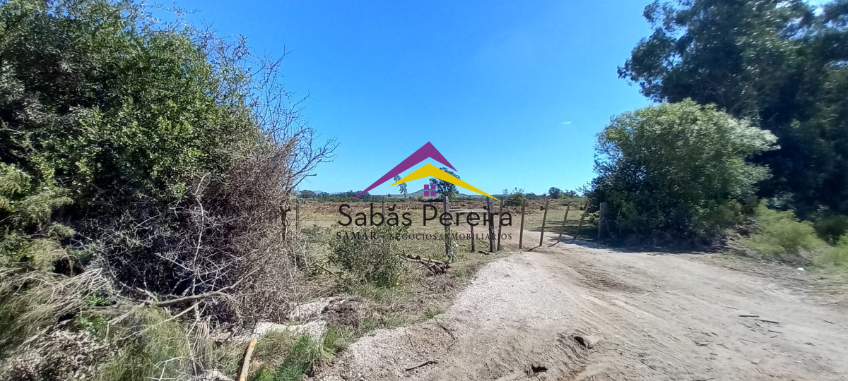 Chacra ID.41230 - Venta Chacra 18ha con casa sobre ruta 9, Pan de Azúcar, Maldonado