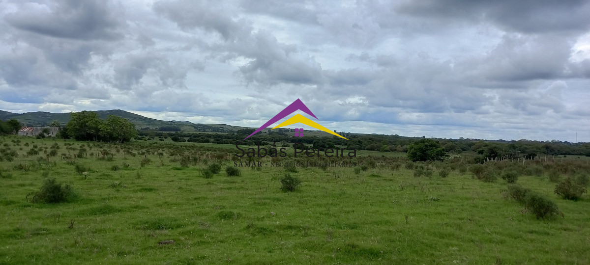 Chacra ID.41051 - Venta chacra de 10 hectáreas, Pan de Azúcar, Piriápolis, Maldonado