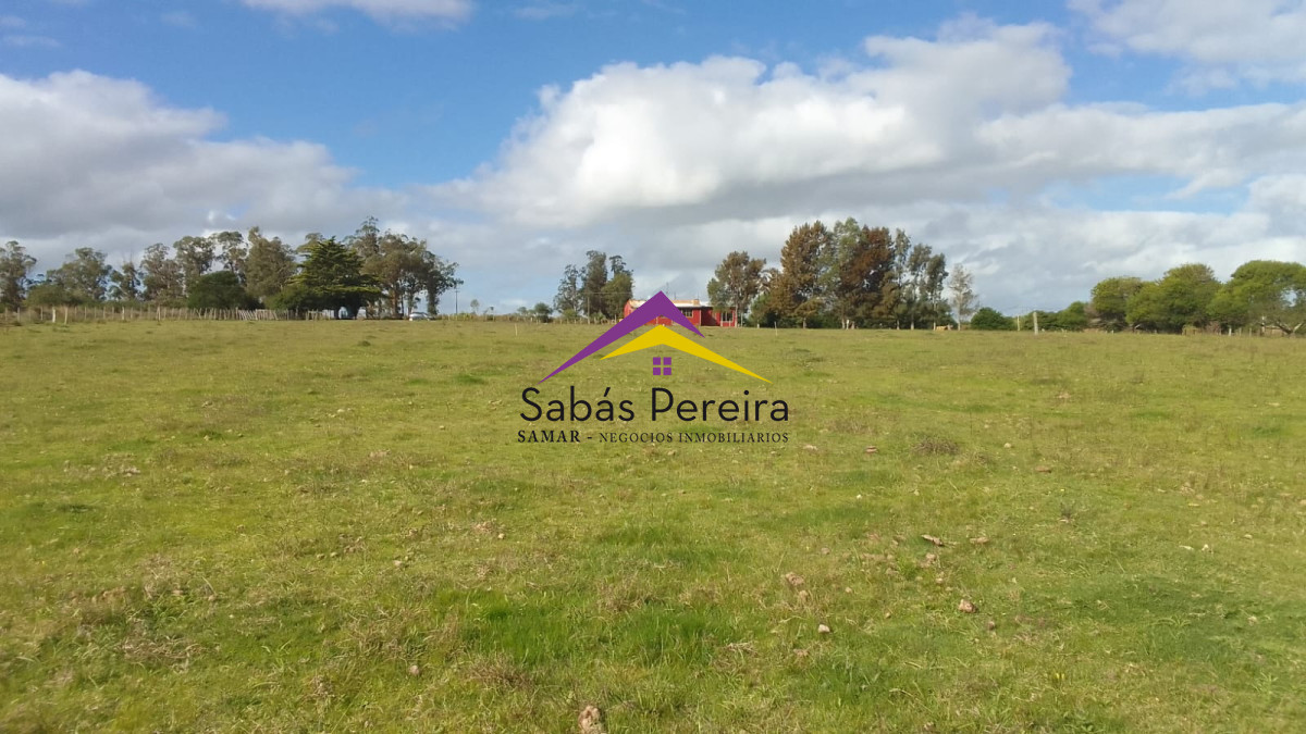Chacra ID.41659 - Venta de Chacra sobre la Ruta 39
